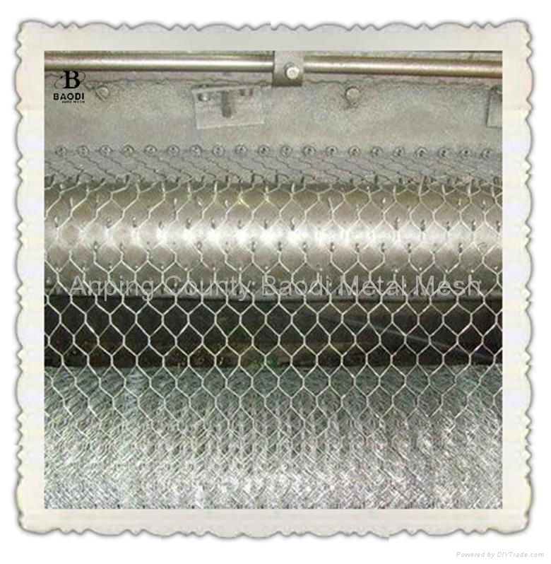 PVC hexagonal wire mesh 3