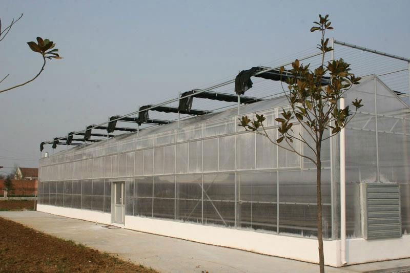 The Polycarbonate sheet greenhouse