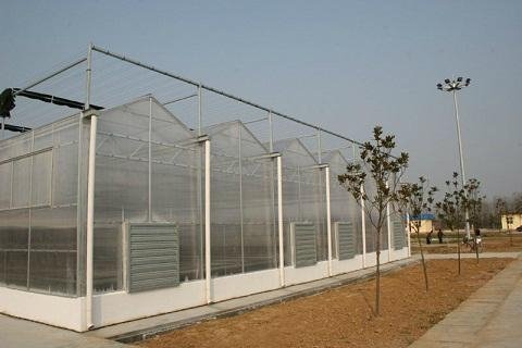 The Polycarbonate sheet greenhouse 2