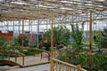 The greenhouse for restaurant 1