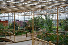 The greenhouse for restaurant