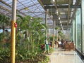 The greenhouse for restaurant 2