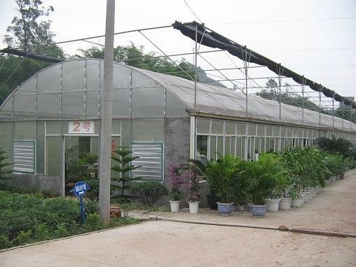 The polycarbonate and film greenhouse 2