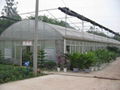 The polycarbonate and film greenhouse 2