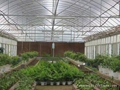  the agricultural greenhouse