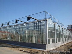 glass greenhouse project-hot sale