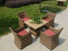 handcraft rattan dining set FT-001+FC003