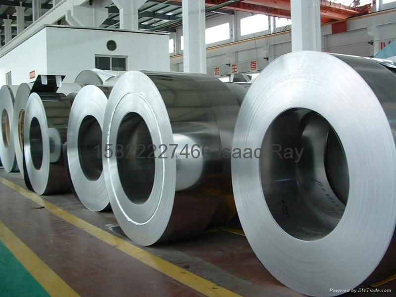 galvanized steel  coil 2