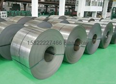 galvanized steel  coil