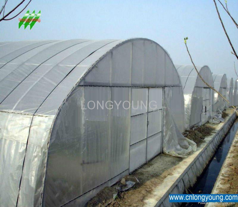 Agricultural greenhouse 2