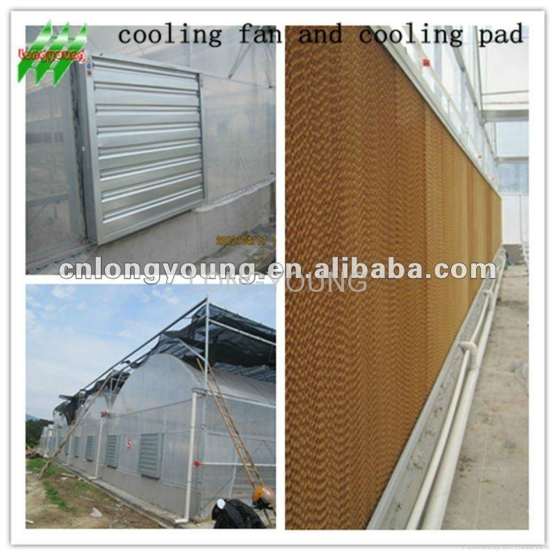 Evaporative Cooling Pad for greenhouse
