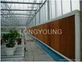 Evaporative Cooling Pad for greenhouse 4