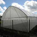 Tunnel Greenhouse for agriculture 3