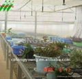 Greenhouse Irrigation System 2