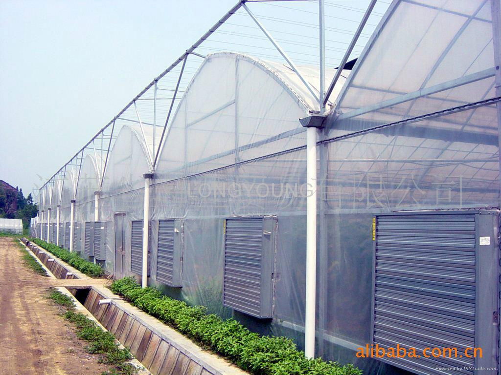 Poly Film Greenhouse 2