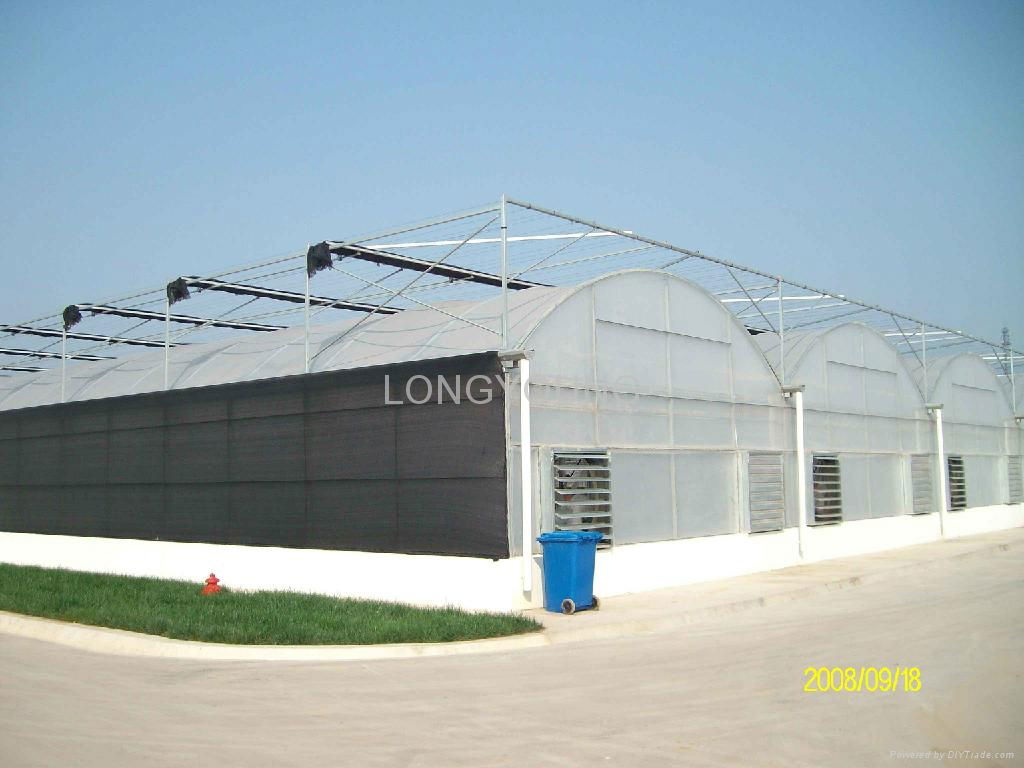 Poly Film Greenhouse 3