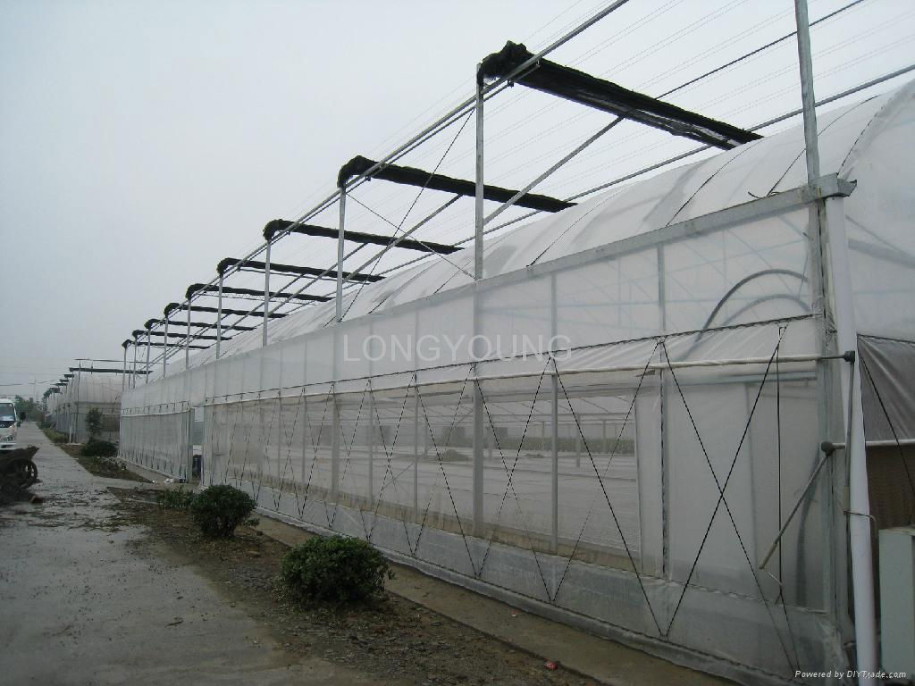 Poly Film Greenhouse 4