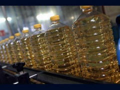 Sunflower Oil