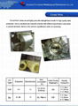 Cored Wire/Calcium Silicon cored wire/Ca