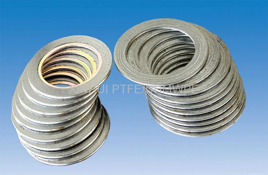 PTFE/teflon gasket 2