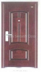 Security Door for Home