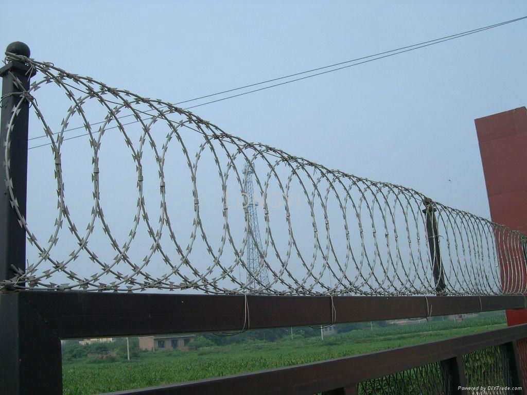 razor wire