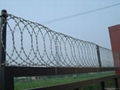 razor wire 1