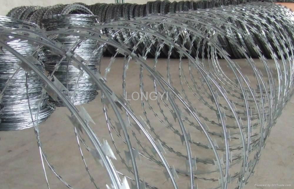 razor wire 3