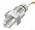 Piezoresistive OEM Pressure Sensor