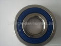 Stainless steel bearing 1