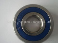 Stainless steel bearing