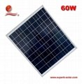 60W polycrystalline solar panel