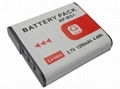 NP-BG1 Replacement Battery, NP-BG1 in