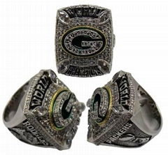 NFL 2010 Green Bay Packers Super Bowl World Championship ring, rare