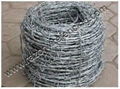 Double Twisted Barbed Wire 3