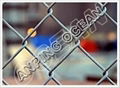 Chain Link Fence