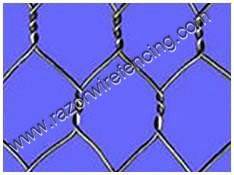 Hexagonal wire netting