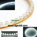 Colorful Led strip light waterproof led decoration lamp silicone led strip