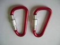 Supply  all kind of carabiner 2