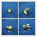 m6 flat head semi-hex body rivet nut 1