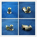 m8 flat head semi-hex body rivet nut 1