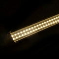 LED T8 TUBE PQ-T81.2mm 3