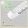 T8 LED tube light 1