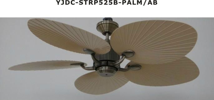 DC motor ceiling fan 4