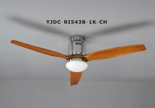 Ceiling fan 5