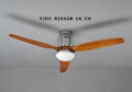 DC motor ceiling fan 5