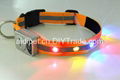 reflective dog collar with beautiful flashing LEDs 1