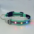 reflective dog collar with beautiful flashing LEDs 2