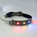 reflective dog collar with beautiful flashing LEDs 3