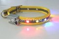 reflective dog collar with beautiful flashing LEDs 4